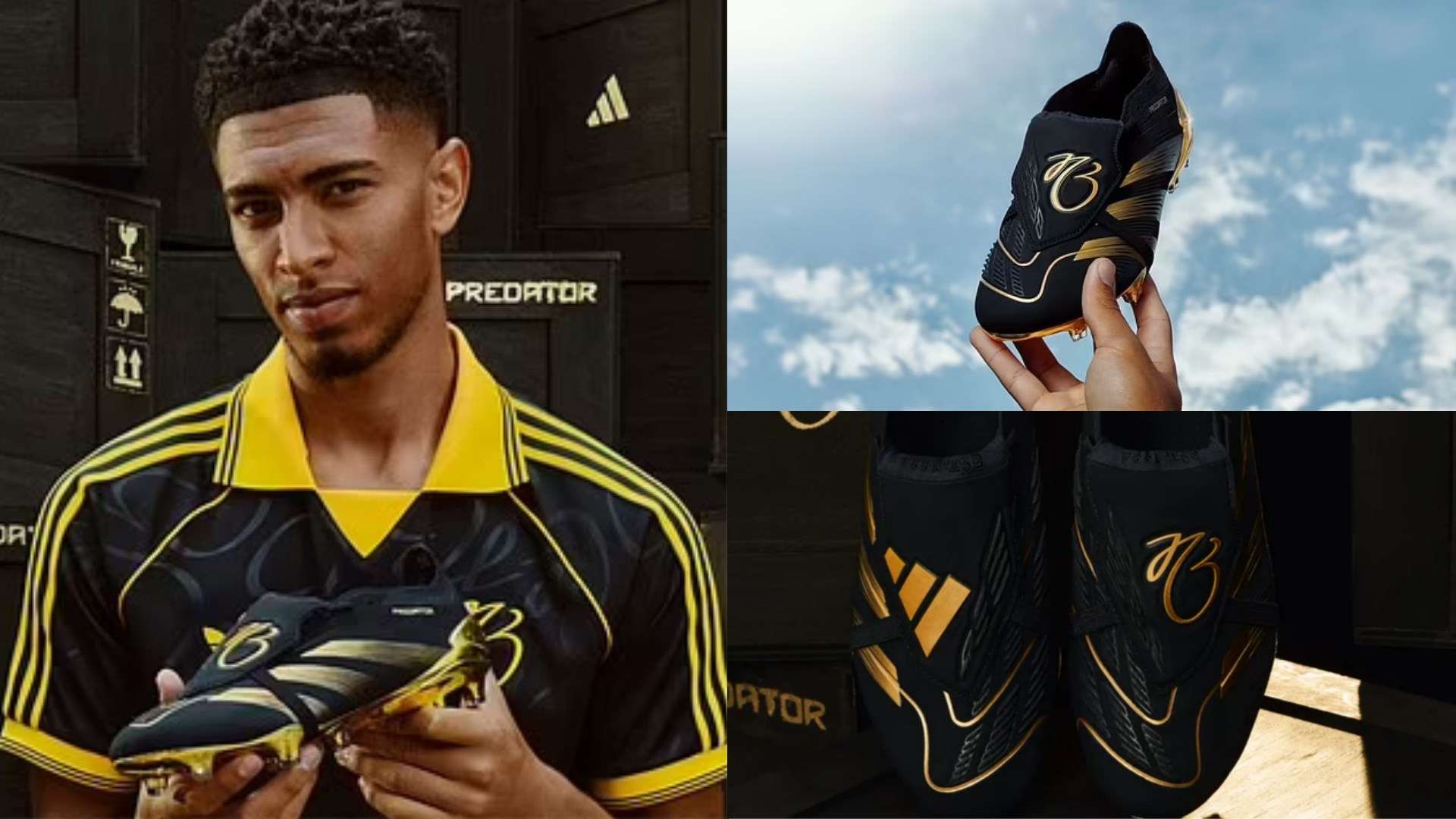 续约常常引 续约常常引